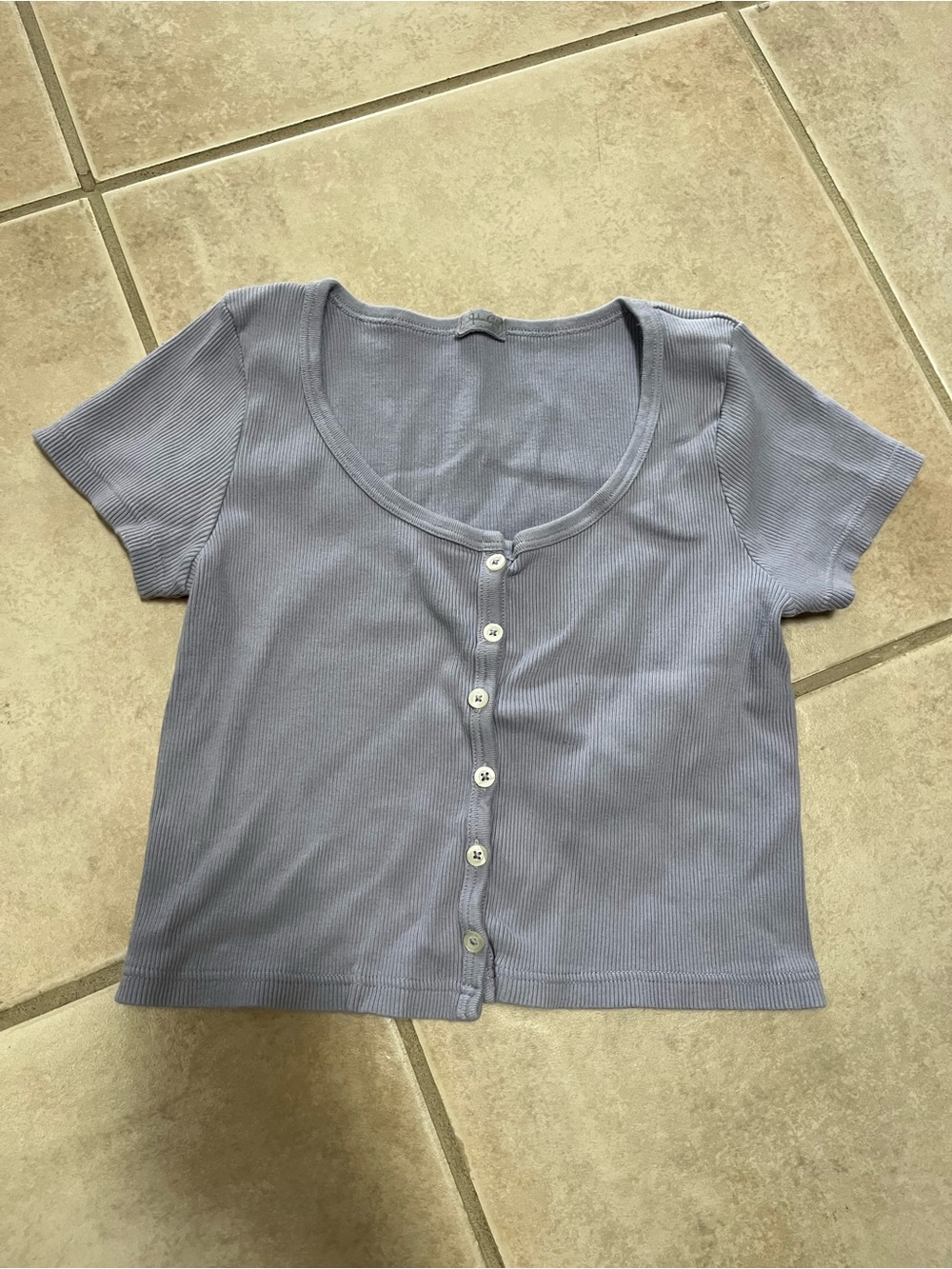 Brandy Melville Light Lavender Ribbed Button Front Crop Top